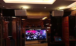 家庭影院，音響設備，ZOBO卓邦，杜比環(huán)繞聲系統(tǒng)，音頻處理器，立體聲揚聲器