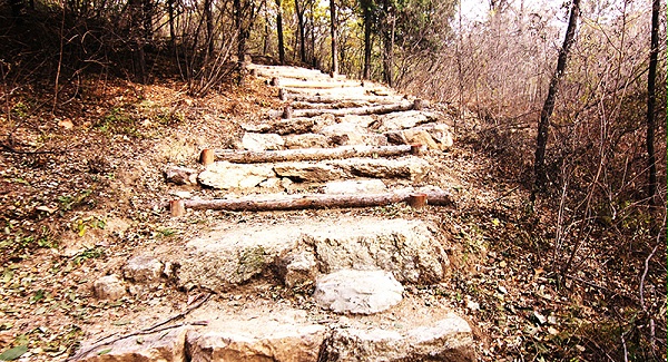 以愛之名，貼地疾行
