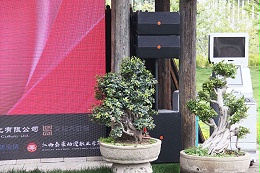 公共廣播系統(tǒng)，廣播揚(yáng)聲器，功率放大器，背景音響，背景音樂廣播