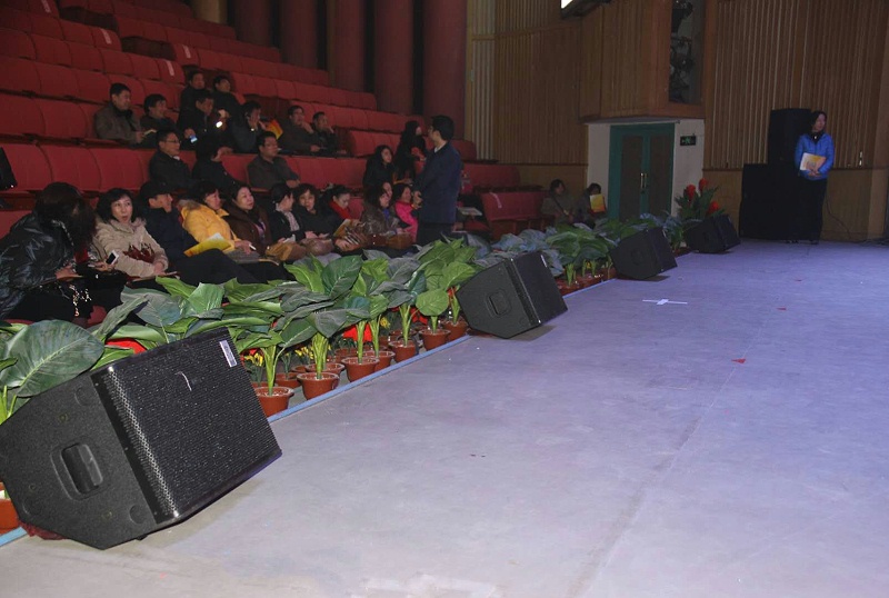 音響設備與舞臺燈光的配合應用探究